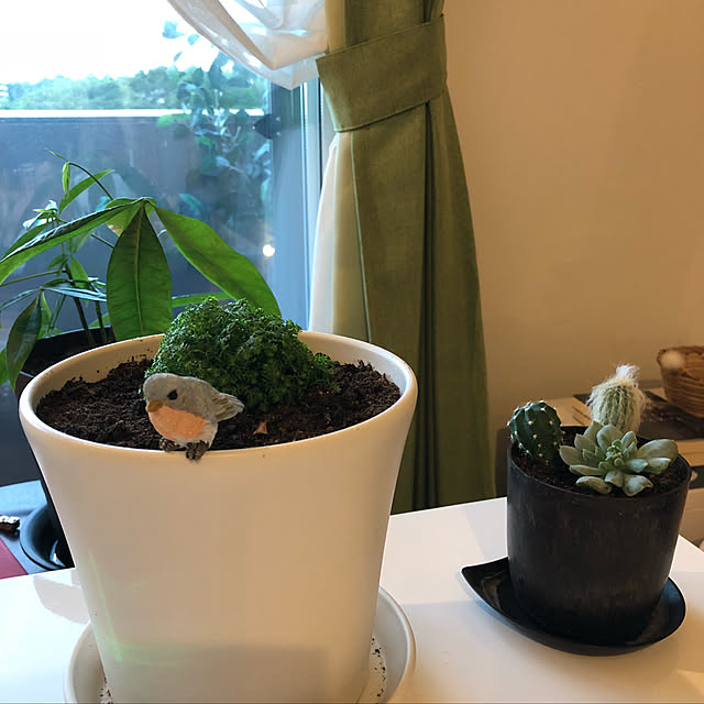 y.okashitaさんの実例写真