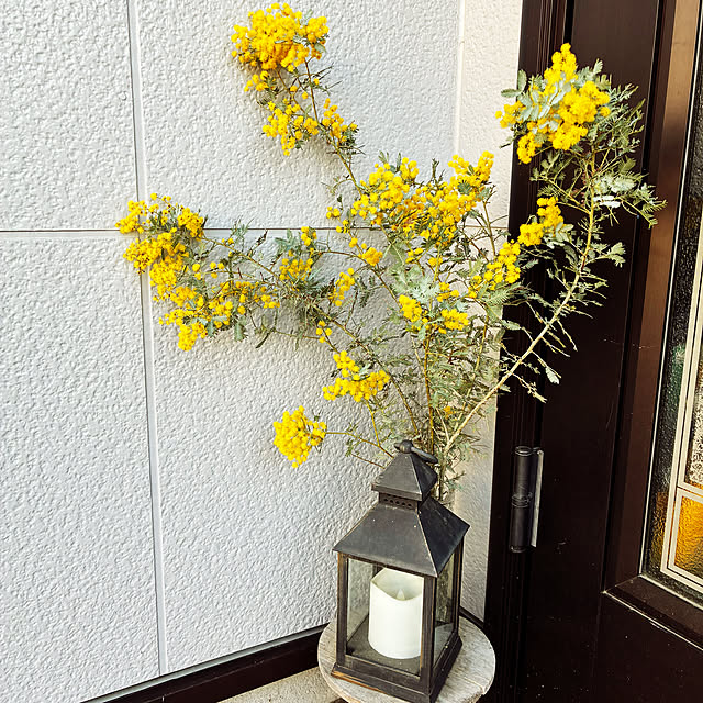 yukaさんの実例写真