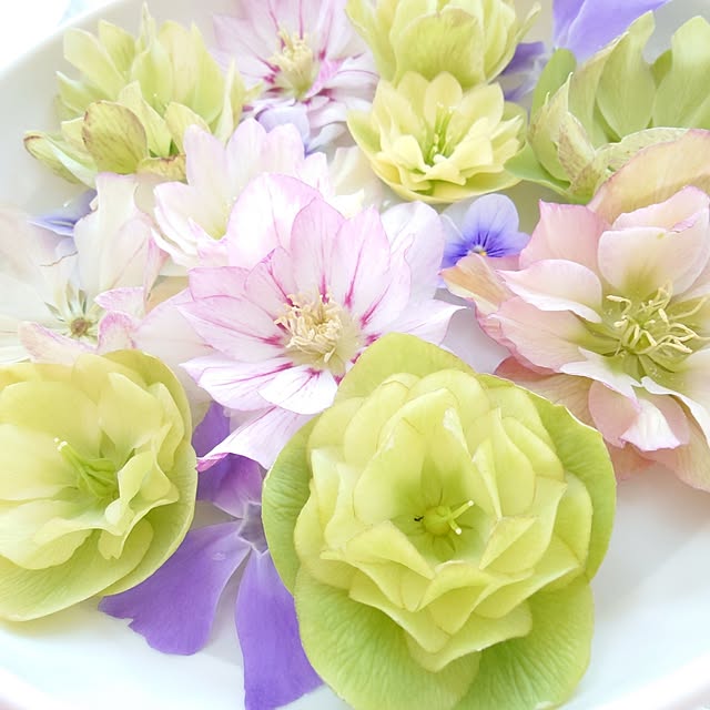 fleur-mamanさんの部屋