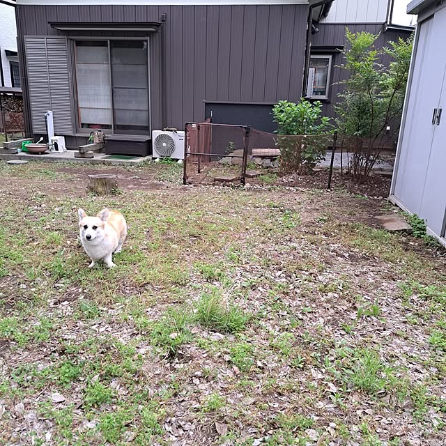 kazuraさんの部屋