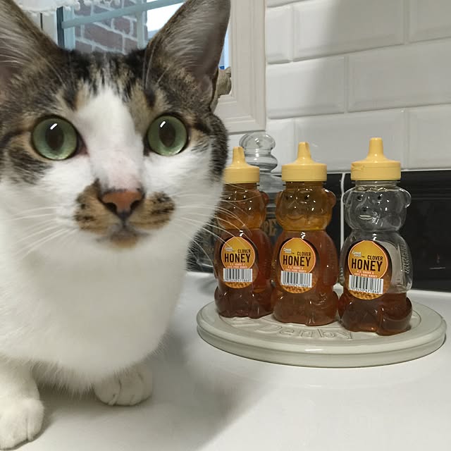 yuchiさんの実例写真