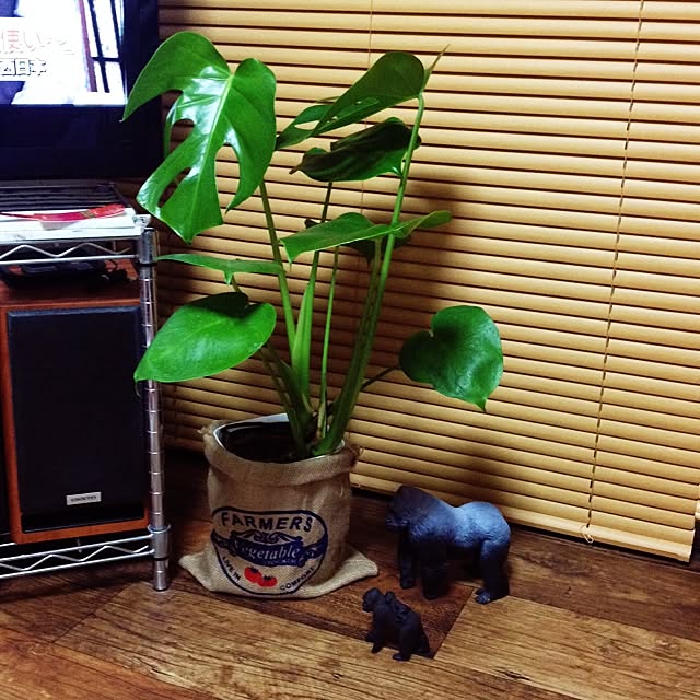 emikkumaさんの実例写真