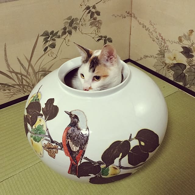 Hazukiさんの実例写真