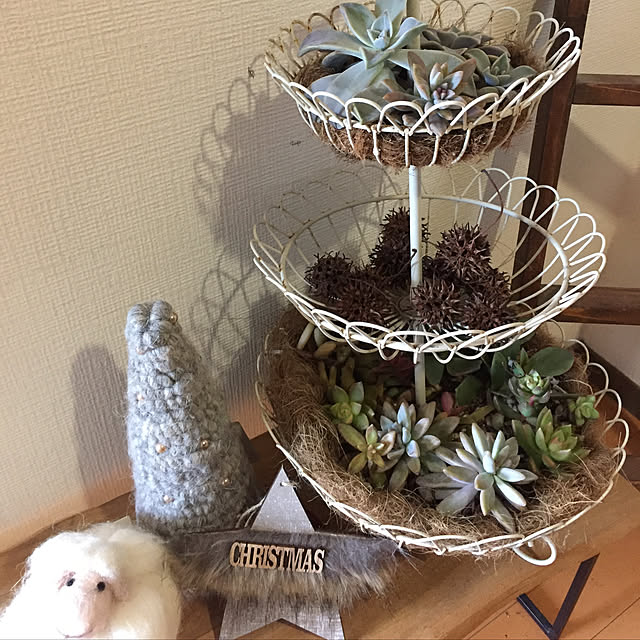 mame.mameさんの実例写真