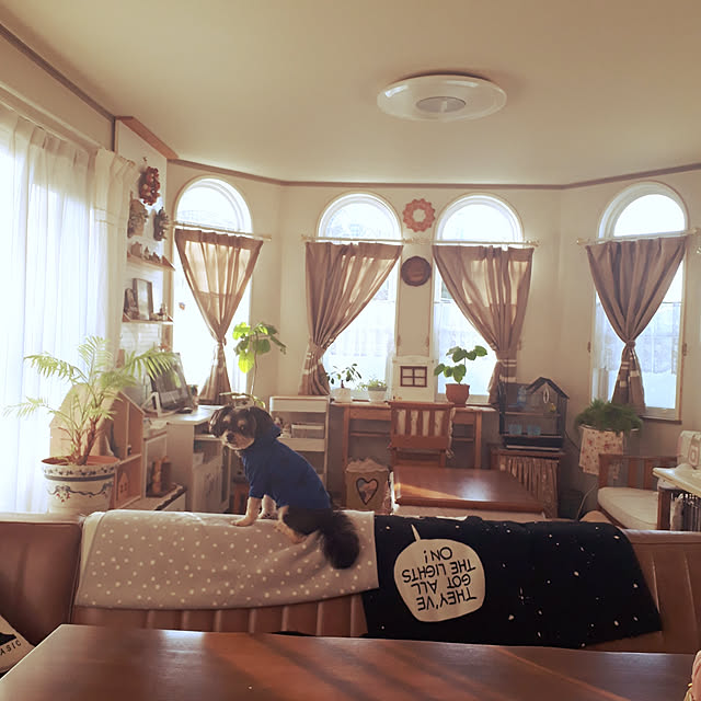 AcchanSaysさんの実例写真