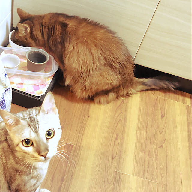 yuさんの実例写真