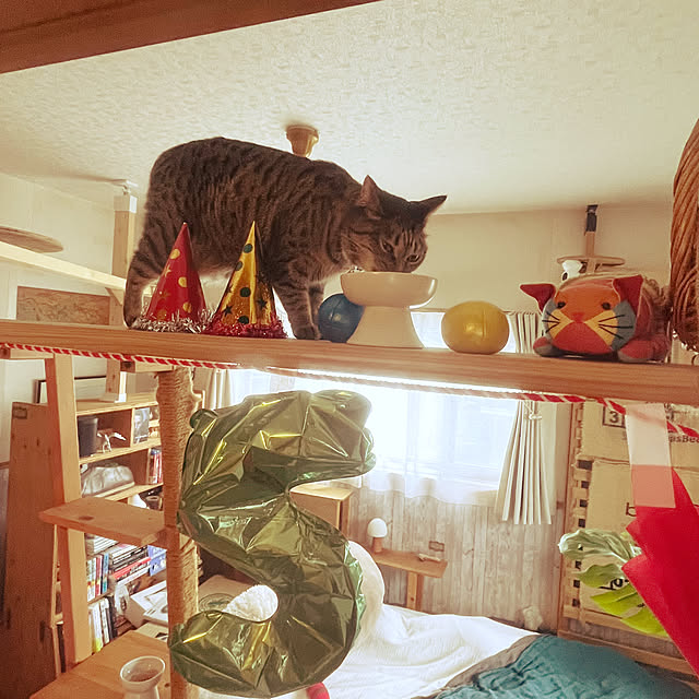 Mさんの部屋