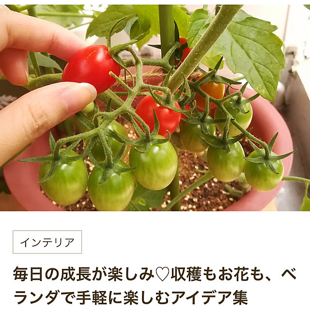 okyame-chanさんの部屋