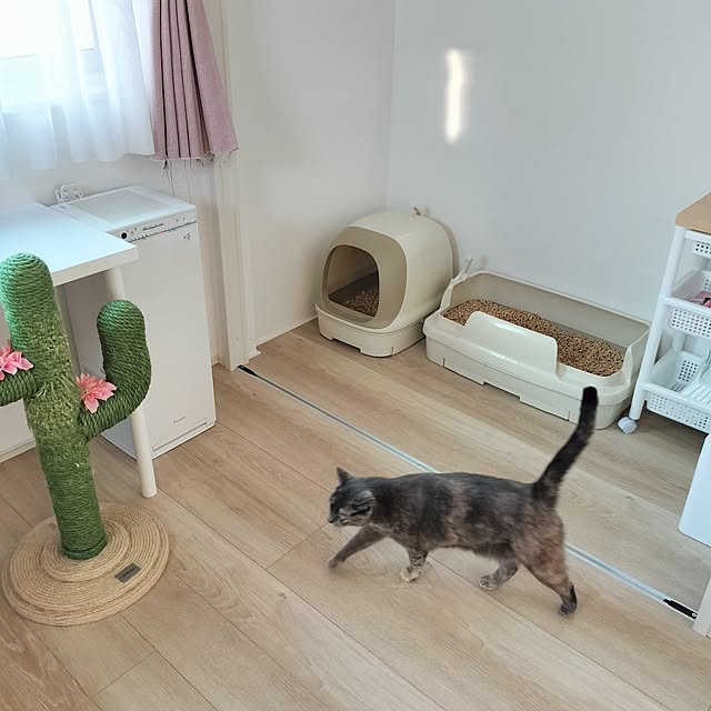 asukaさんの実例写真
