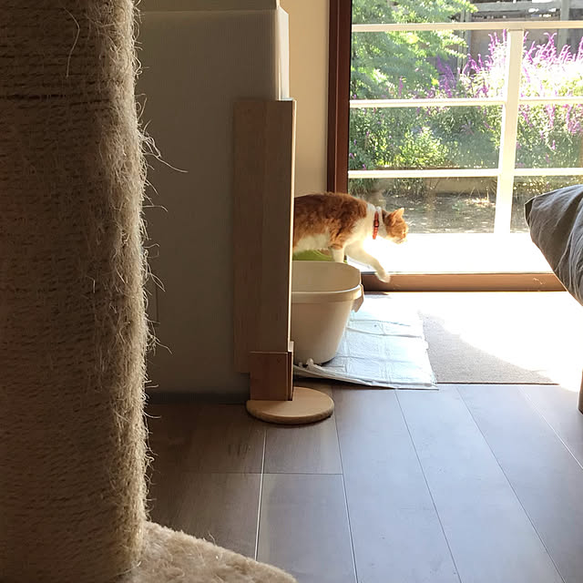 houenさんの実例写真