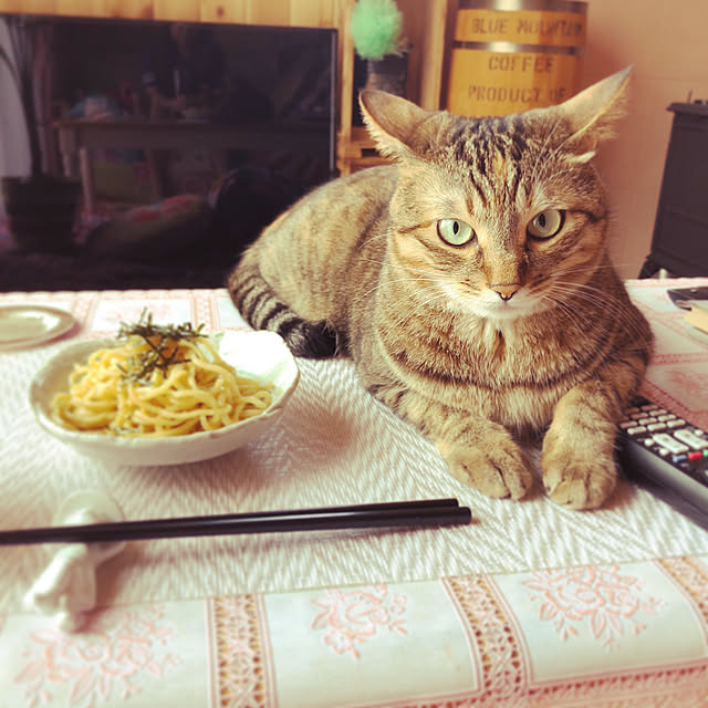 MASAさんの実例写真