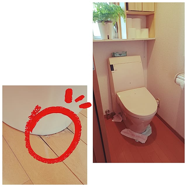 soyokoさんの実例写真