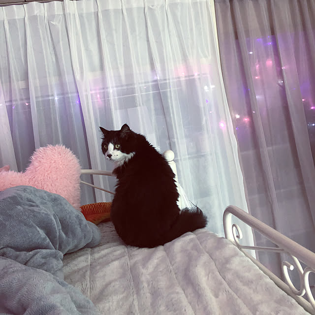 kanaさんの実例写真