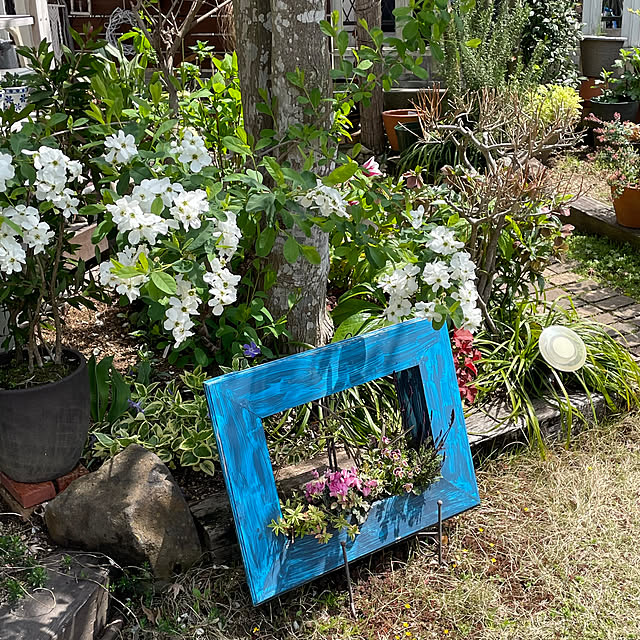 nobikoさんの部屋