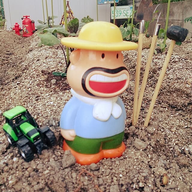 miiiiさんの実例写真
