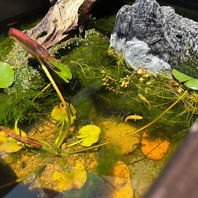 m.tさんの実例写真