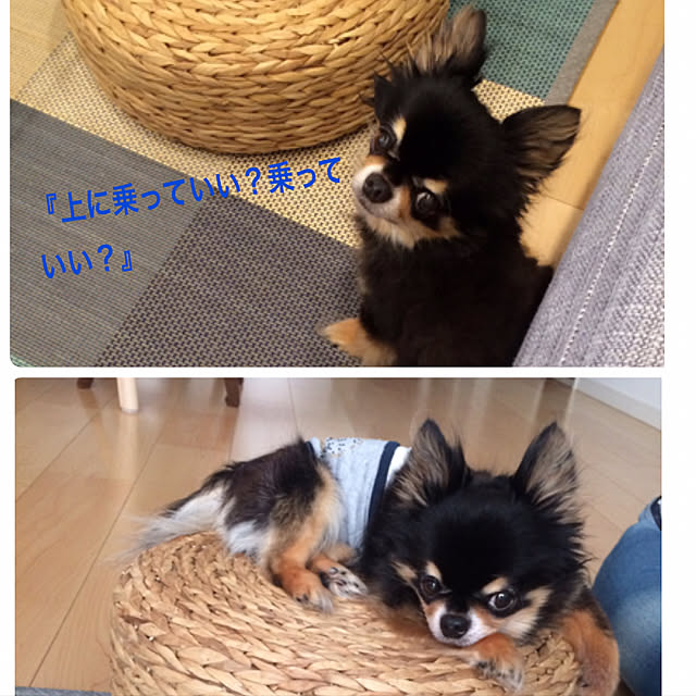 yunさんの実例写真