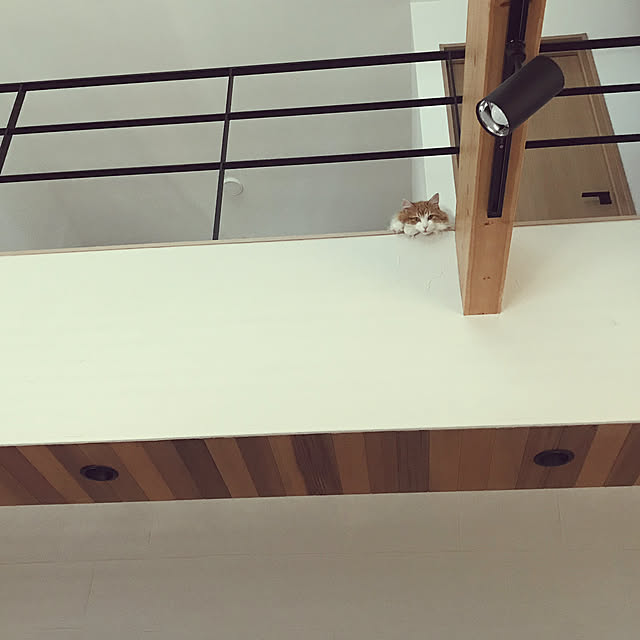 Chi_Zさんの実例写真
