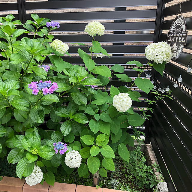 CoffeeHouseさんの実例写真