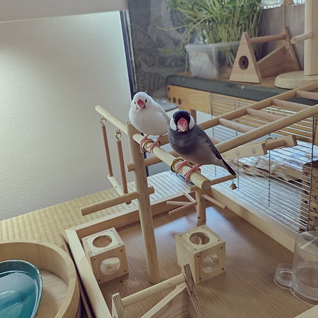 escargotさんの実例写真
