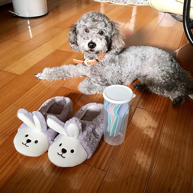 makoriさんの実例写真