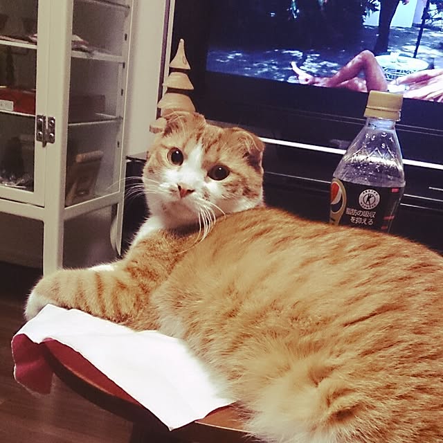 Sachiさんの実例写真