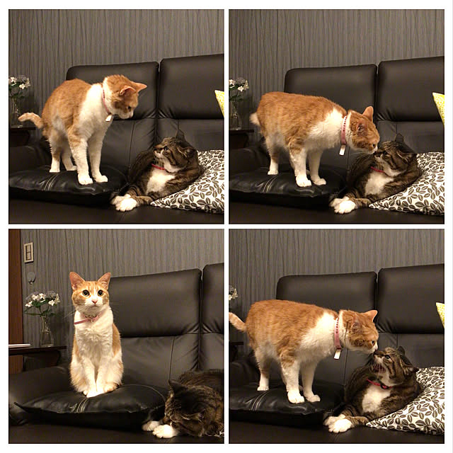 houenさんの実例写真