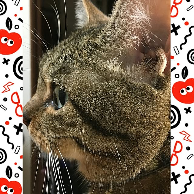 berariさんの実例写真