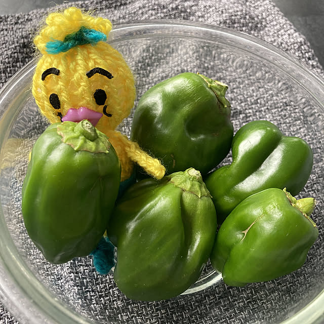 manduonmaさんの実例写真