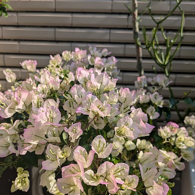 wumag418さんの部屋