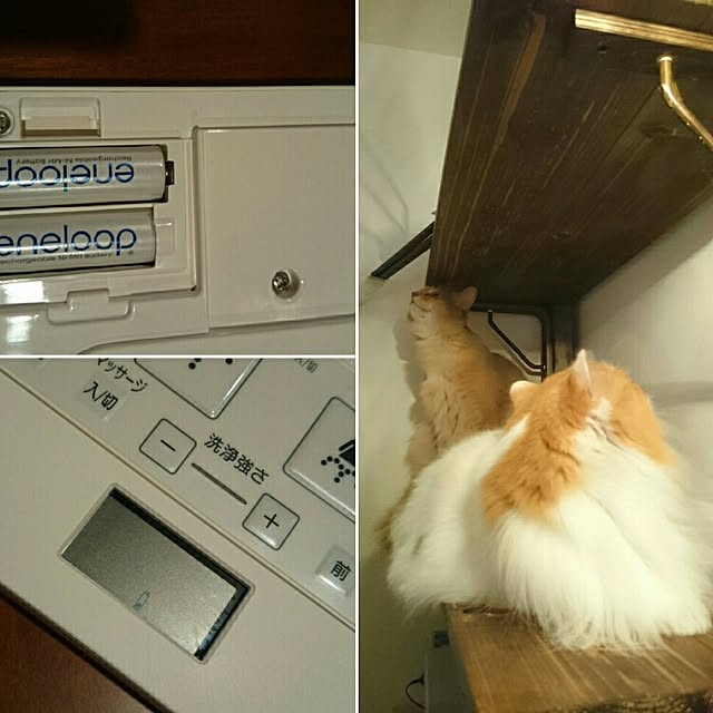 1ldksさんの実例写真
