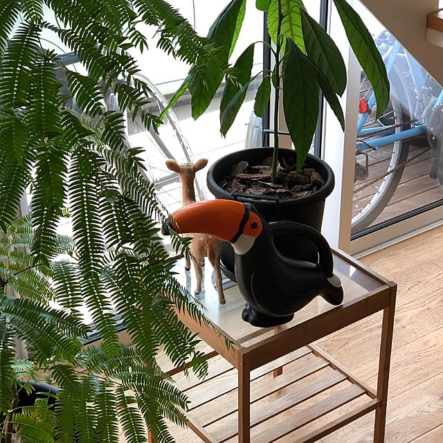 lemonさんの実例写真