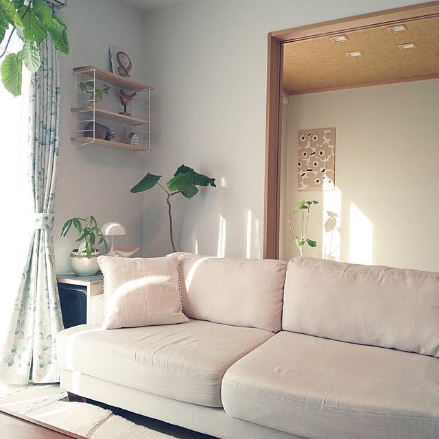 tan5さんの実例写真