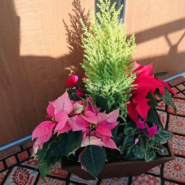 naoayaさんの実例写真