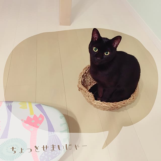 Kaoさんの実例写真