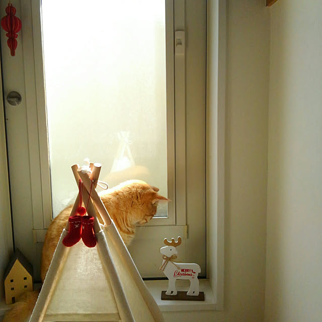 mayutan.さんの実例写真