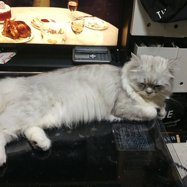 wb-noririnさんの実例写真