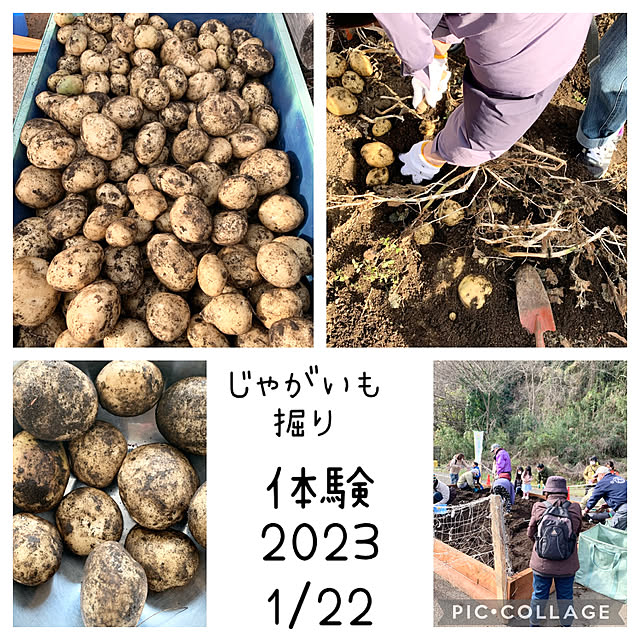 syutmmさんの実例写真
