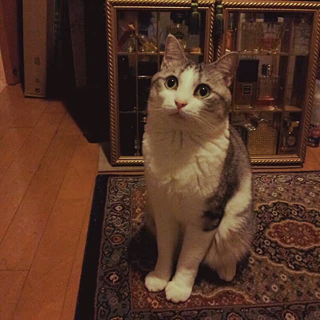 emmyyさんの部屋