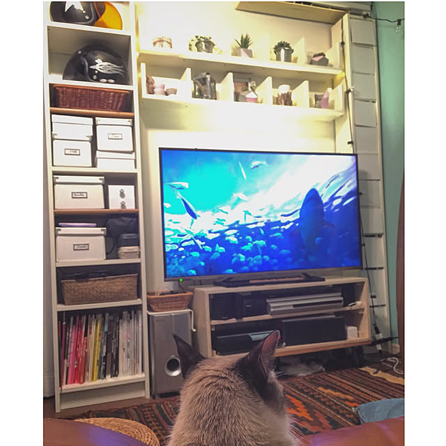 bowbowcoさんの実例写真