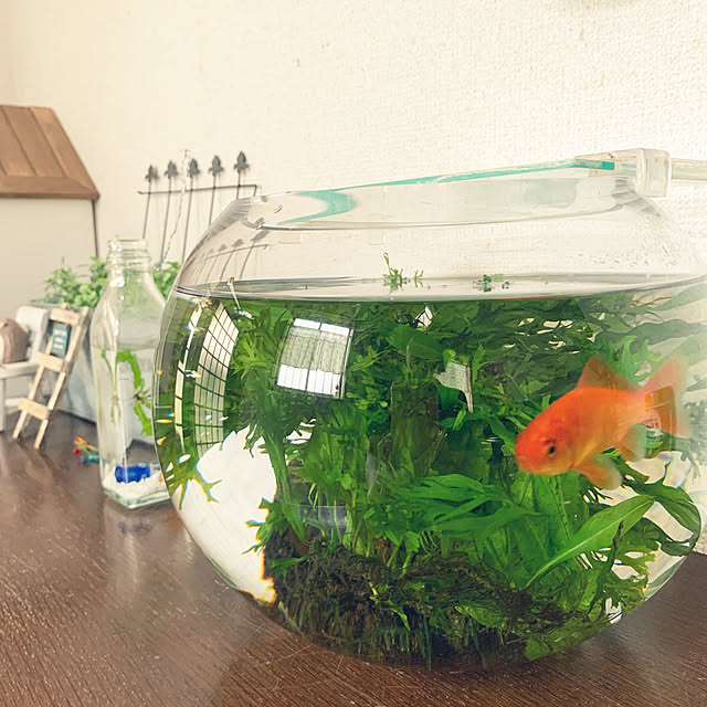 cyaroさんの実例写真