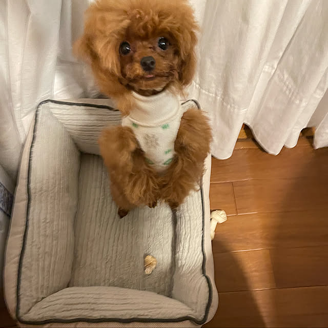 mamizaさんの実例写真