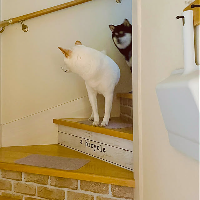 mo-nosukeさんの部屋