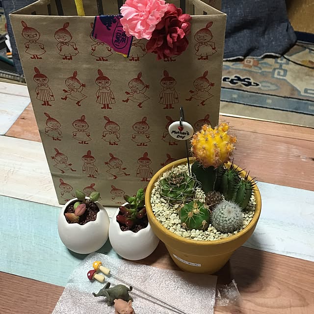 Ryosukiさんの実例写真