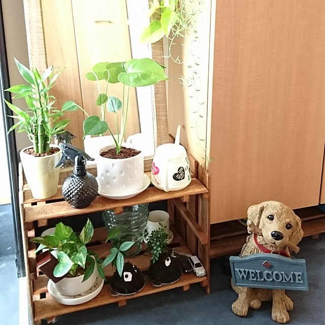 yukoさんの実例写真