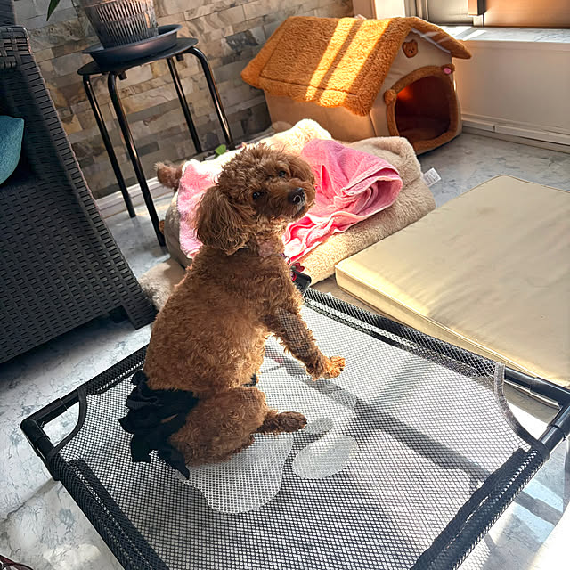 MOMOMAMAさんのお部屋の写真