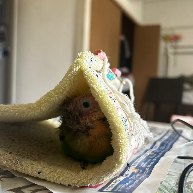 t.and.sakuraさんの実例写真