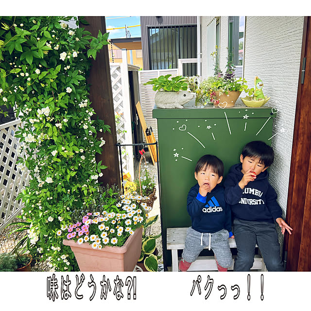 hinamamaさんの部屋