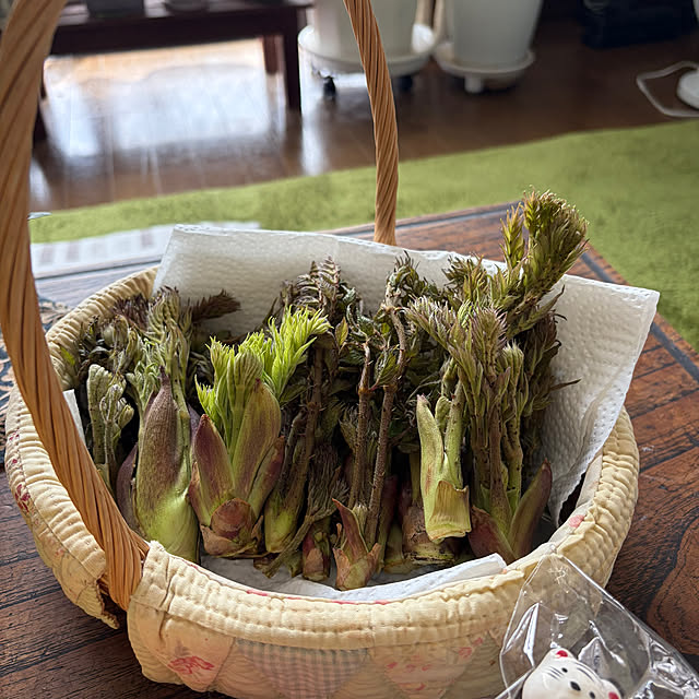 ritsukoさんの部屋