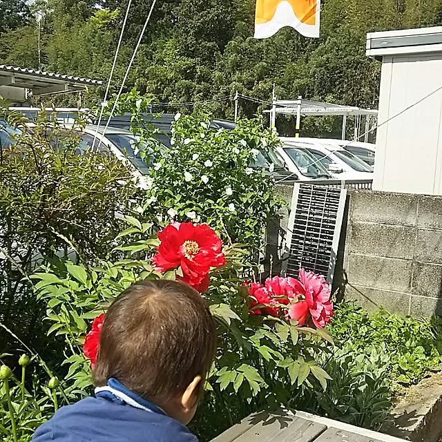 chikohiroさんの実例写真